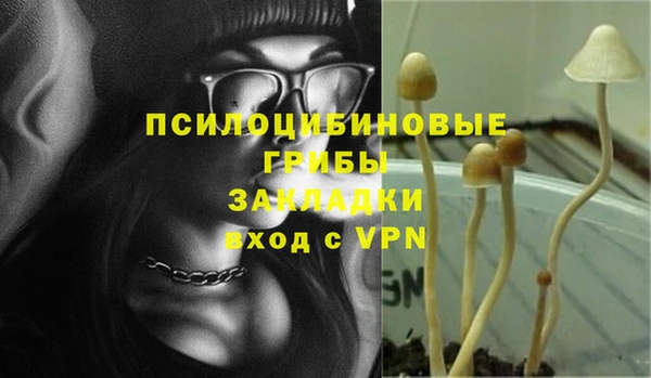 гашик Володарск